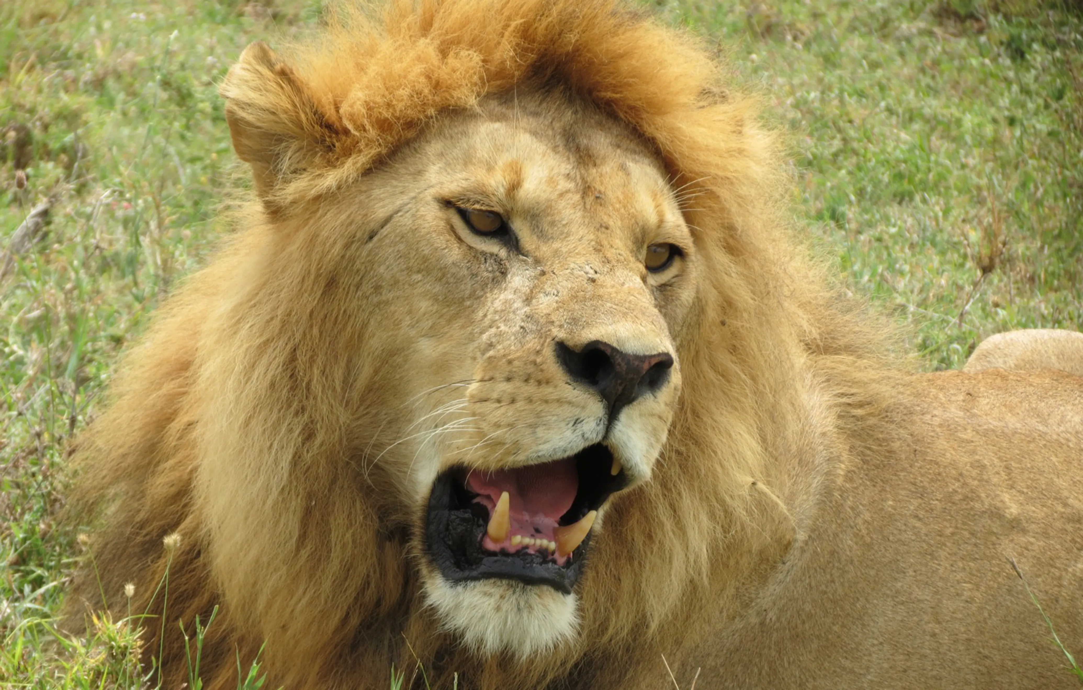 Exploración creativa